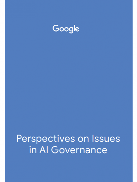 Perspectives on Issues in AI Governance – Google