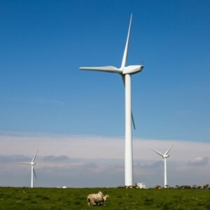 La vulnerabilità del consumatore energetico
