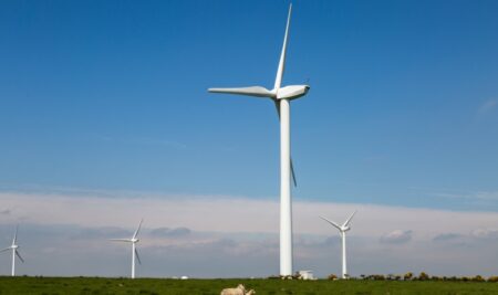 La vulnerabilità del consumatore energetico